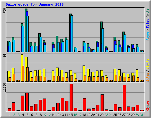 Daily usage for January 2010