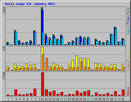 Daily usage for January 2011