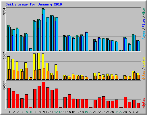 Daily usage for January 2019