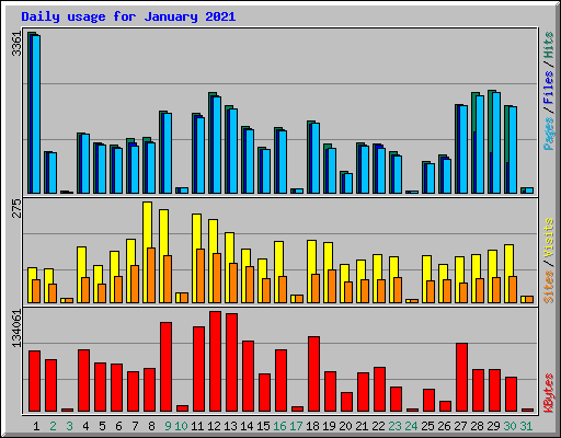 Daily usage for January 2021