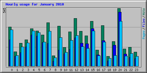 Hourly usage for January 2010