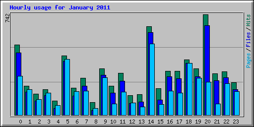 Hourly usage for January 2011