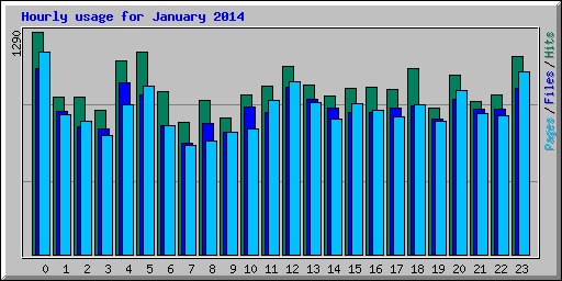 Hourly usage for January 2014