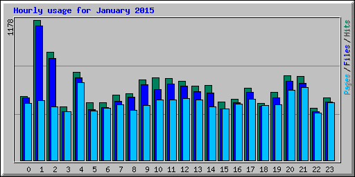 Hourly usage for January 2015