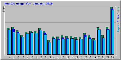 Hourly usage for January 2016