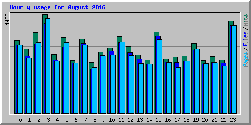 Hourly usage for August 2016