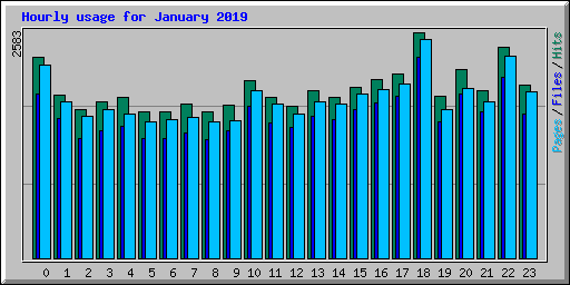 Hourly usage for January 2019