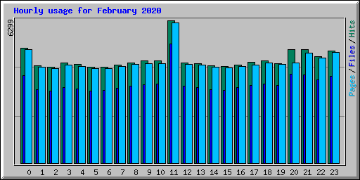 Hourly usage for February 2020