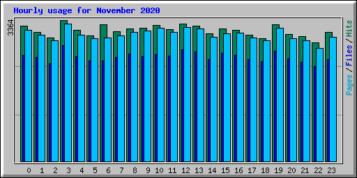 Hourly usage for November 2020