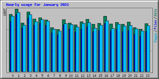 Hourly usage for January 2021