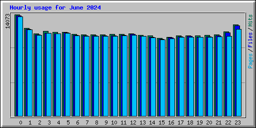 Hourly usage for June 2024