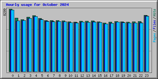 Hourly usage for October 2024