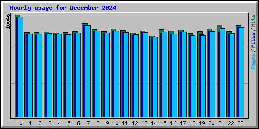 Hourly usage for December 2024