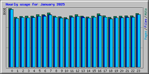 Hourly usage for January 2025