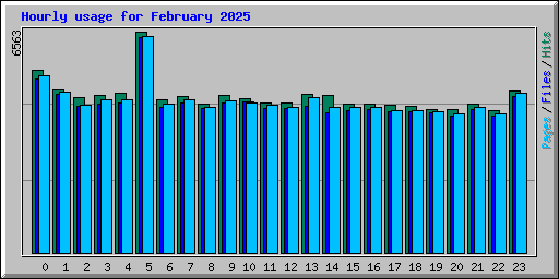 Hourly usage for February 2025