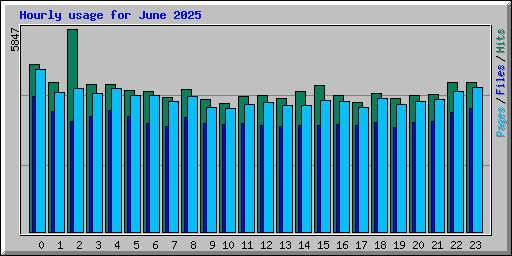 Hourly usage for June 2025