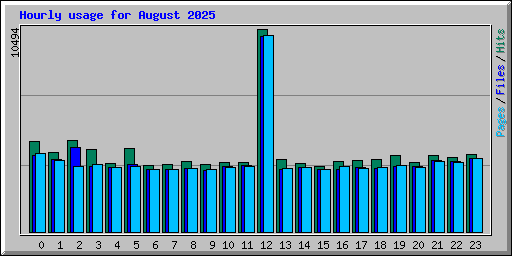 Hourly usage for August 2025