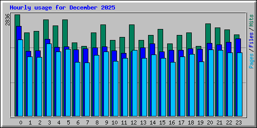 Hourly usage for December 2025