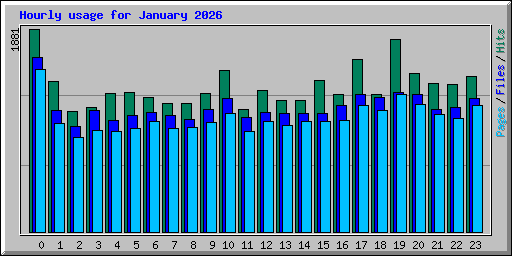 Hourly usage for January 2026