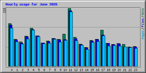 Hourly usage for June 2026