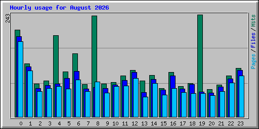 Hourly usage for August 2026